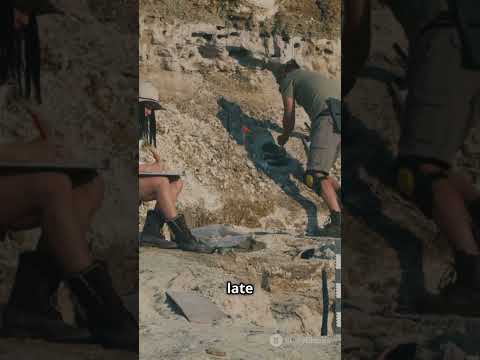 Shahr E Sukhteh Iran The Burnt City Of Bronze Age Innovation Brainboost Facts Pyramidsofegypt 