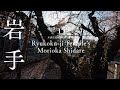 [SAKURA DRONE 4K] 龍谷寺のモリオカシダレ（Ryukoku-ji Temple's Moriokashidare）岩手県盛岡市｜桜ドローンプロジェクト2026