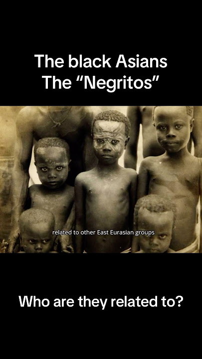 Who Are The Black Asians? #anthropology #negrito #blackhistory #asian #southeastasia #genetics