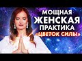 Медитация для женской сексуальности и энергии. Практика «ЦВЕТОК СИЛЫ»