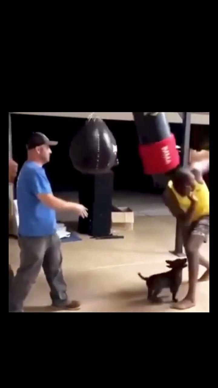 Looks ? Via - ? (Dm for credit/ removal) #ufc #mma #mmatraining