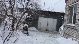 #Pigeons.Рубить правду-матку.