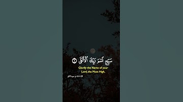ماتيسر من سورة الأعلى للقارئ الشيخ ماهر المعيقلي ♥️🌿