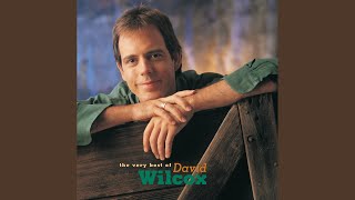 Video thumbnail of "David Wilcox - How Did You Find Me Here"