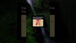 Beat the Timer — Don’t Breathe Until It Ends