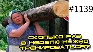 Фитнес. Сколько раз в неделю нужно тренироваться Фитнес. Сколько раз в неделю нужно тренироваться
