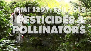 Pesticides & Pollinators (group 18, PMI 129Y Fall 2018)