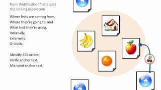 Inlinks From Webposition Seo Analysis Of Inbound And Internal Links