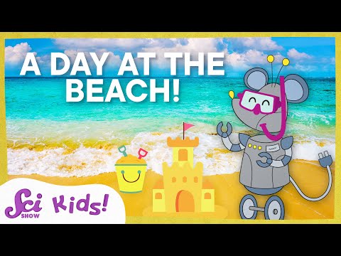 Science at the Beach! | SciShow Kids