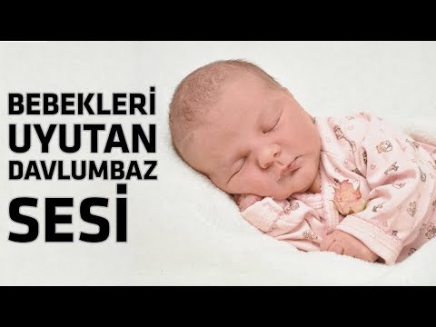 Davlumbaz Sesi | Bebekler İçin Uyku Desteği
