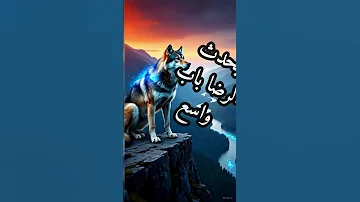 لسنا مطالبين أن نفهم كل ما يحدث اقتباسات حكمة اليوم كلام من ذهب دروس الزمان 
