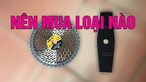 So Sánh Ưu Điểm Và Nhược Điểm Của Lưỡi Cắt Cỏ Hợp Kim Tròn Với Dao Cắt Cỏ Dài