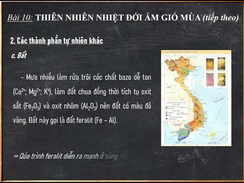 Video Bài 10 Địa lí 12: Thiên nhiên nhiệt đới ẩm gió mùa... - youtube
