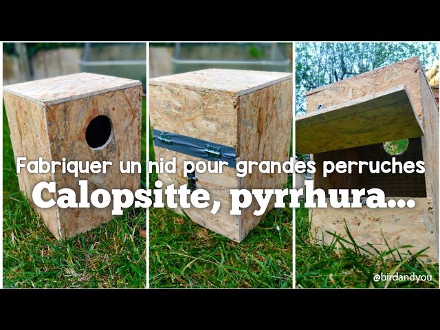 Comment fabriquer un nid pour grandes perruches?- pyrrhura, calopsitte 