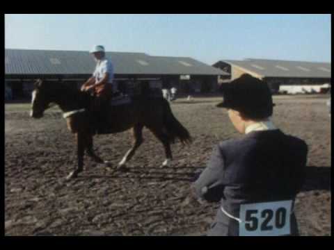 USET Show Jumping - The Very Best Compete