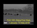 First 100+ Bang-Flop Hogs Of 2018