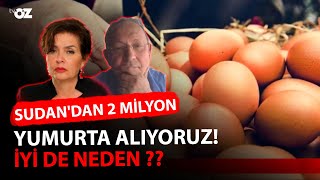 SUDAN'DAN 2 MİLYON YUMURTA ALIYORUZ ! İYİ DE NEDEN ??