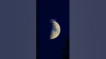 القران الكريم | ياسر الدوسري #quran ##راحة_نفسية #اكسبلور #ارح_قلبك #ياسر_الدوسري #تلاوة_خاشعة