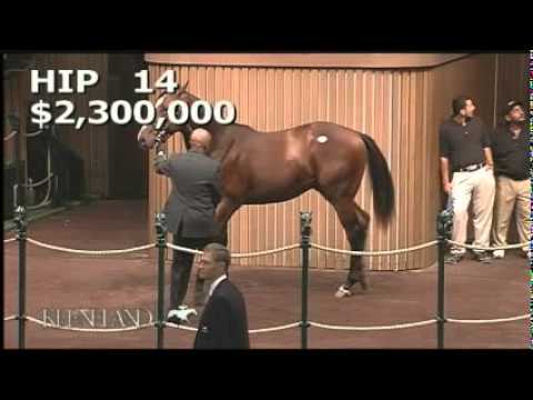 Hip 14 Sells for $4.2 Million