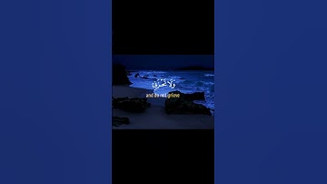القرآن الكريم- سورة القصص-الآية 7-ياسر الدوسري