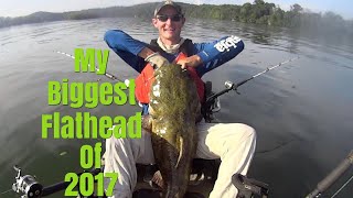 Huge Flathead Catfish! I Almost Flipped My Kayak!!!
