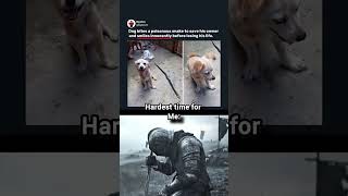 Hero Dog Sacrifices Himself to Save Owner 😭💔#shorts#loyaldog #doglover #shorts#animalrescue