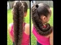 Puffed Out Fishtail Braid