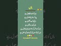 chota ghalib poetry+islamic talking video follow more video #foryou#shorts #subscribers #share#duet