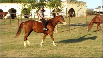 Sonnny Go Lucky Brew - jumping cross rail and small vertical 2 - Valley View Ranch