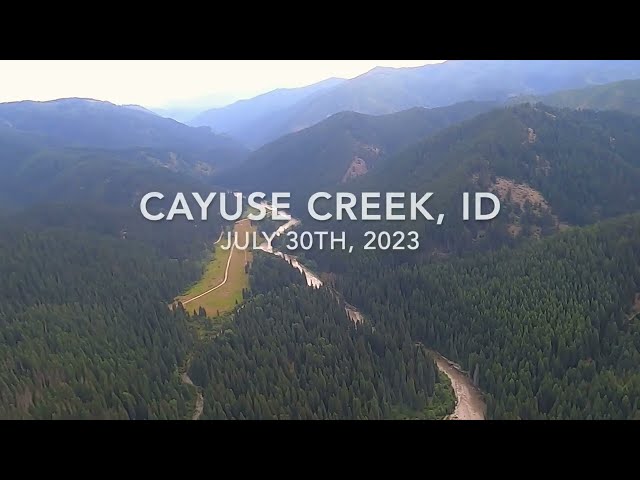 Cayuse Creek, ID
