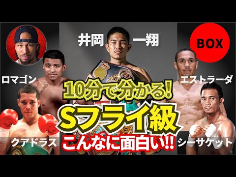 【コラボ】10分でこんなにも分かる！！井岡一翔、アンカハス、ロマゴン、エストラーダの世界Sフライ級は混沌としててこんなにも面白い！ BOXING and BOXINGさんとの濃密トーク2！！