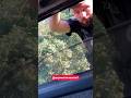🔥 Поліцейський ЗНИК за 1 ХВИЛИНУ — ВОДІЙ знає свої права! #shorts