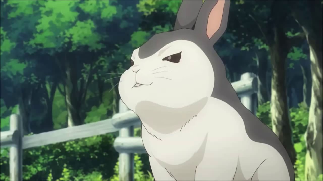 Non Non Biyori   evil rabbit