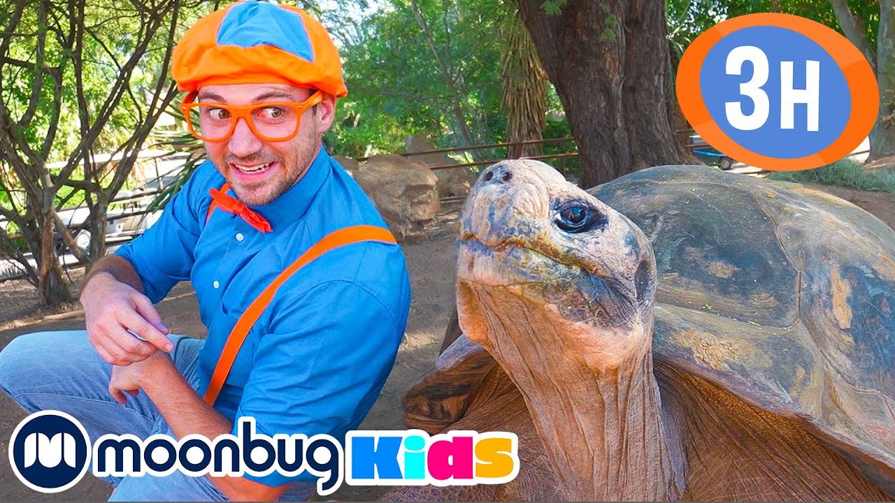 🐢 Blippi Visita um Jardim Zoológico! 🐢| 3 HORAS DE BLIPPI BRASIL! | Moonbug Kids em Português