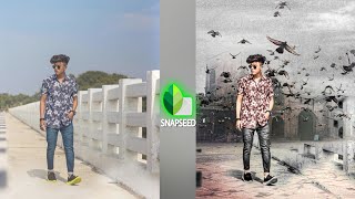 Snapseed Background Change Photo Editing | snapseed stylish photo editing [Niraj Editz]