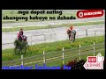 MGA KABAYONG DAPAT NA NATING ABANGAN PANDEHADO BY MasterLekym