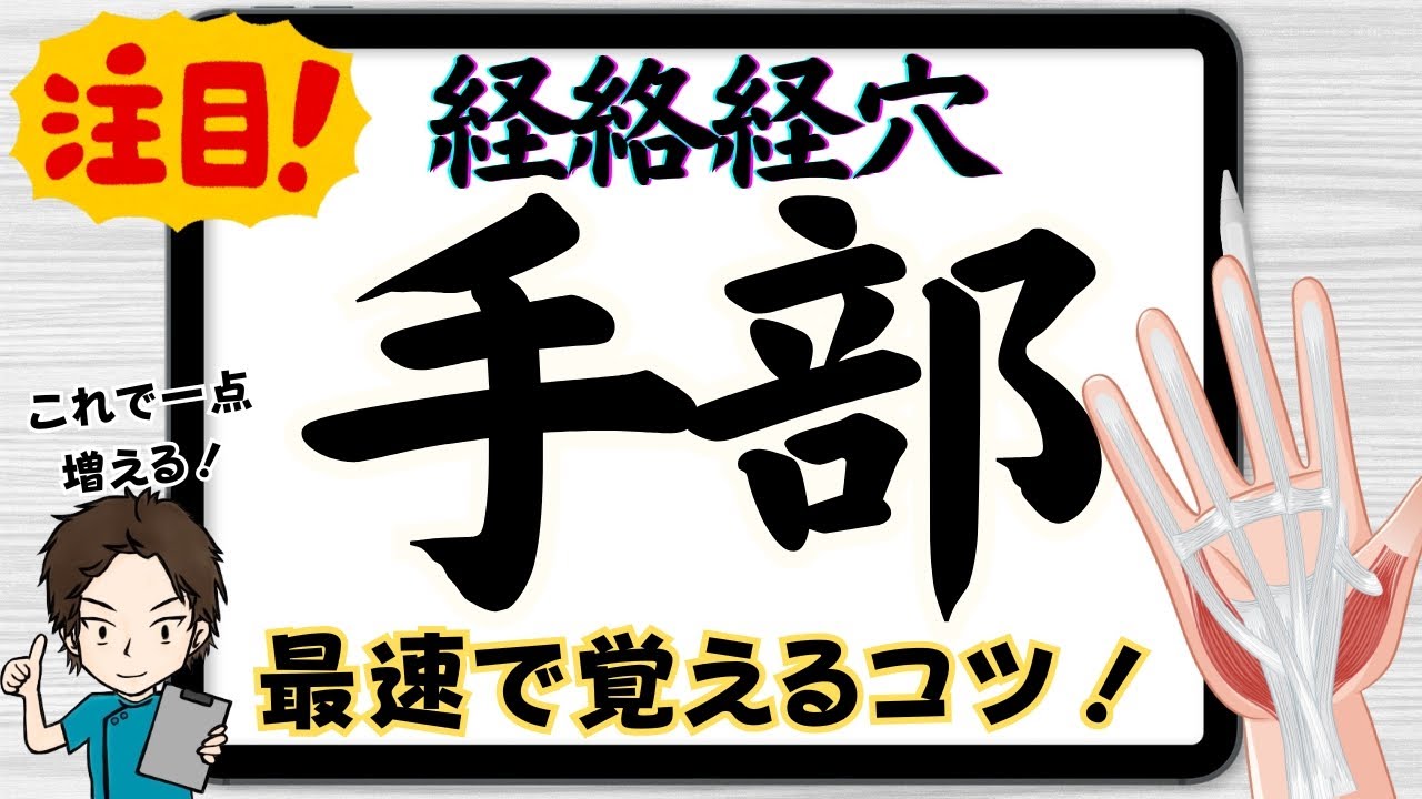 イラスト付き】手部の経絡経穴を最速で覚えるコツを徹底解説！【あはき 