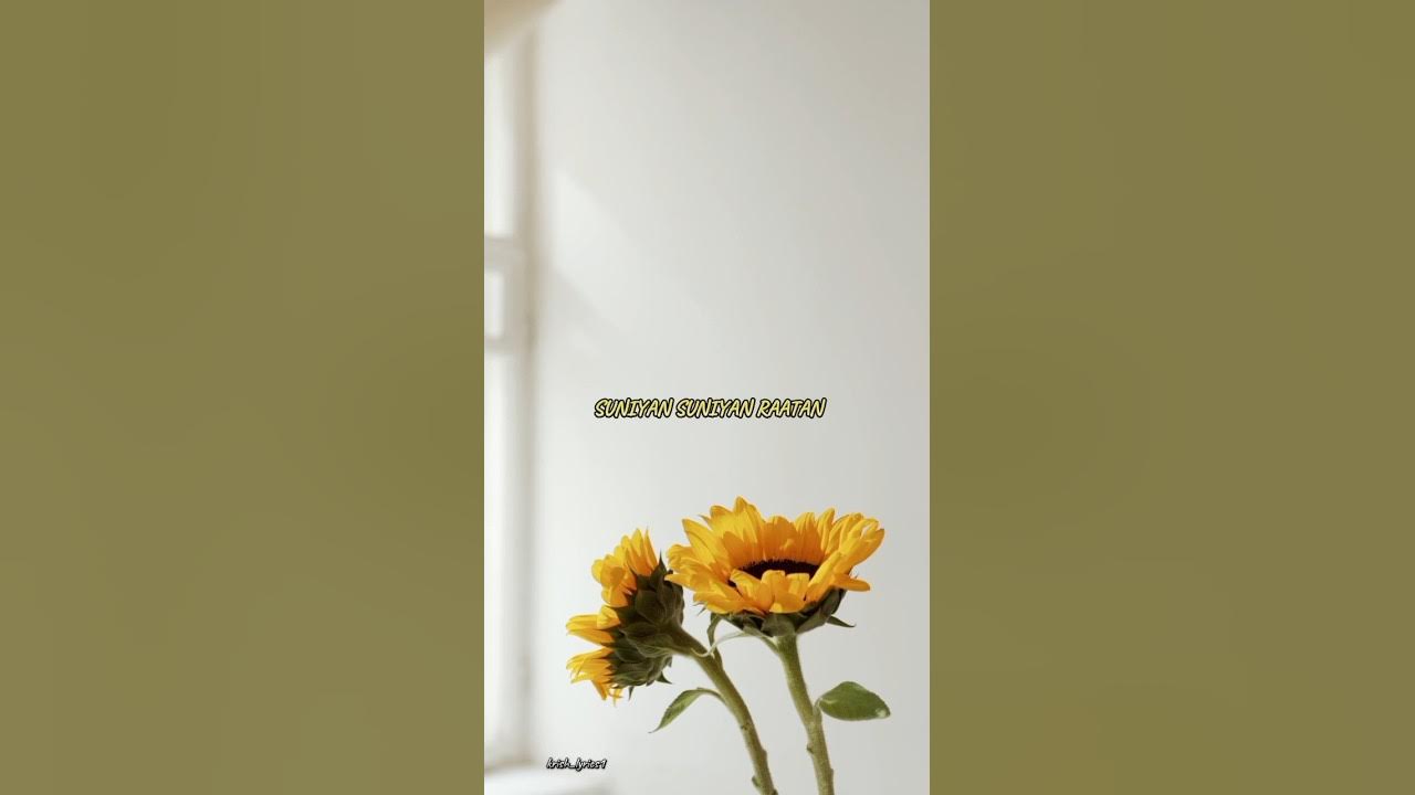 SUNIYAN SUNIYAN x BAATEIN YE SAARI lyrics #lyrics #song #trending #youtubeshorts #shorts SUNIYAN SUNIYAN x BAATEIN YE SAARI lyrics #lyrics #song #trending #youtubeshorts #shorts