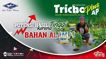BISI Sahabat Petani: TRICHOPLUS AP, Potensi Hasil Tinggi karena Bahan Alami - Aplikasi Mudah !!!