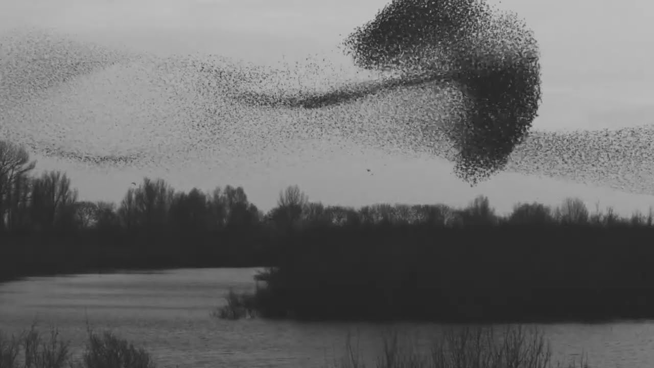 Ground Patrol - Lift (Official Video)