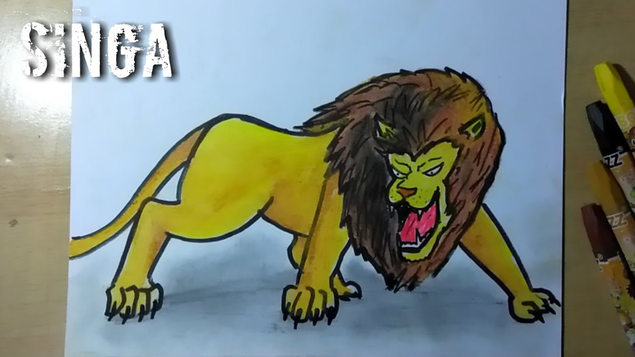  Cara  mudah menggambar  hewan  berkaki  empat  singa YouTube