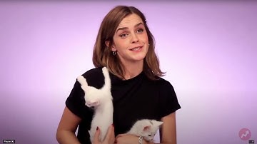 How to make a .gif using GIMP