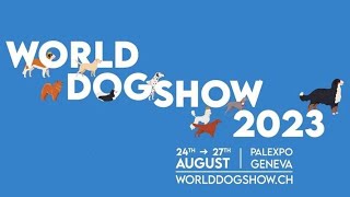 World dog show 2023 in Geneva Switzerland by JOEL COOLDOGS 2,357 views 8 months ago 11 minutes, 46 seconds