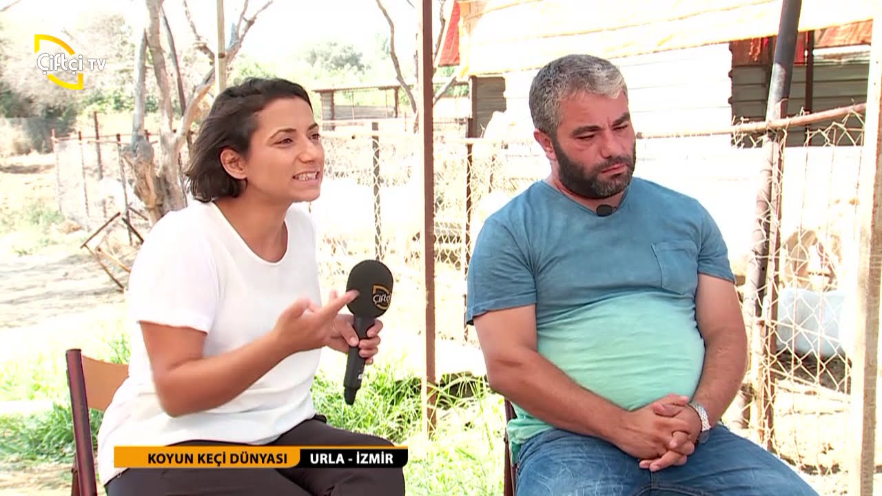 KOYUN KEÇİ DÜNYASI/25. BÖLÜM