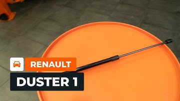 Cómo cambiar un amortiguador de capó en RENAULT DUSTER 1 [TUTORIAL AUTODOC]