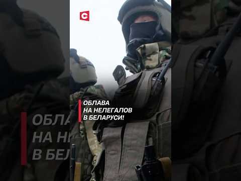 Облава на нелегалов в Беларуси! #беларусь #мигранты #нелегалы #новости #политика #мвд #преступления