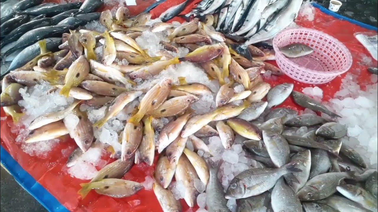 Ukkadam Fish Market YouTube ukkadam-fish-market-youtube