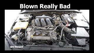 Symptoms of Blown Head Gasket by Auto Resource 482 views 5 months ago 3 minutes, 20 seconds