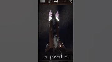 Louie!(💙Maddie💙)#strideway #horse #roblox #edit