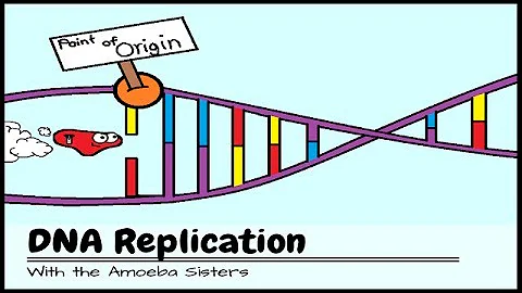 (OLD VIDEO) DNA Replication: The Cell's Extreme Team Sport